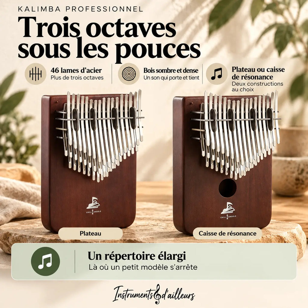 Kalimba professionnel 46 lames vue de face bois dense caisse